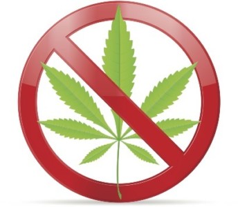 prohibited marijuana