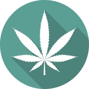 Marijuana and Reasonable Accommodations
