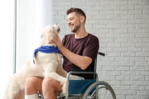 Blog Assistance Animals: What Every Multifamily Operator Should Know Fair Housing Month