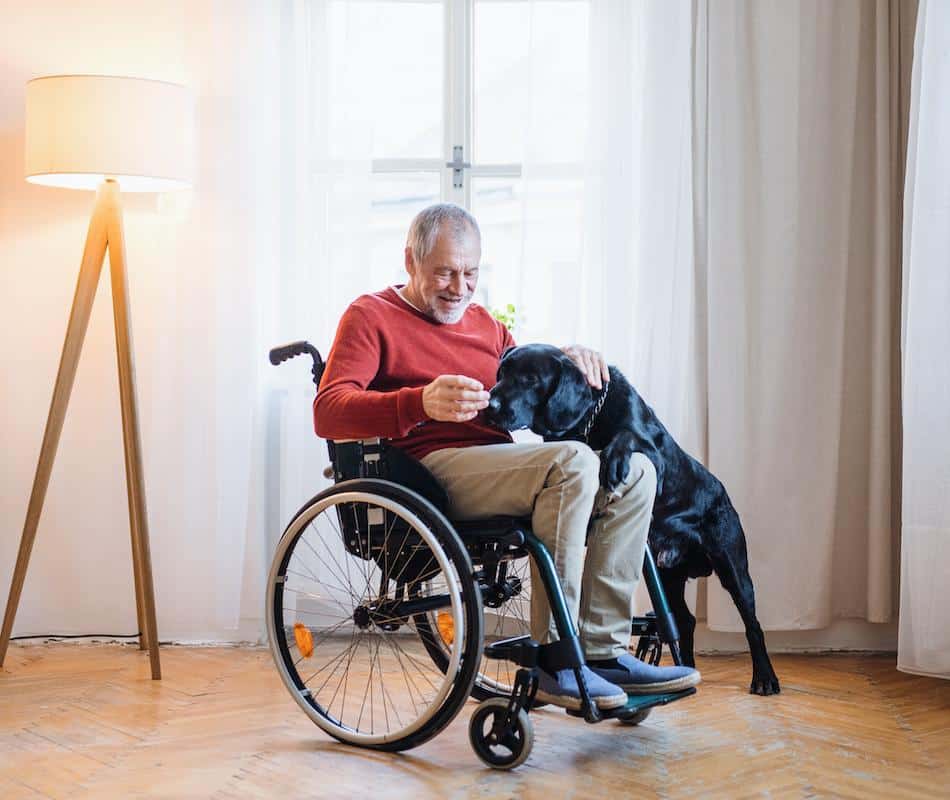 A disabled senior man in wheelchair indoors playing with a pet dog at home.
senior, old, retired, pensioners, retirement, together, lifestyle, man, adult, person, males, caucasian, indoors, inside, interior, flat, apartment, house, gray, hair, beard, mustache, sitting, domestic, relationship, pet, dog, animal, black, friendship, playing, happy, sofa, resting, time, spending, leisure, life, red, sweater, copy, space, empty, blank, looking at, wheelchair, disabled, lamp
A disabled senior man in wheelchair indoors playing with a pet dog at home. Copy space.