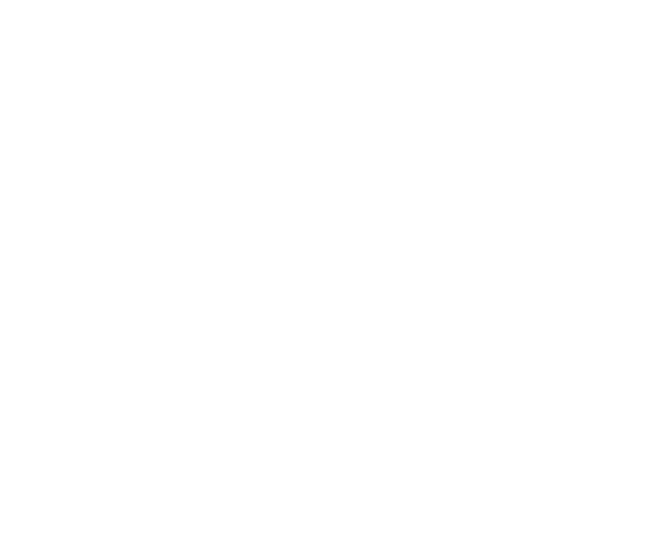 wellington management all white logo