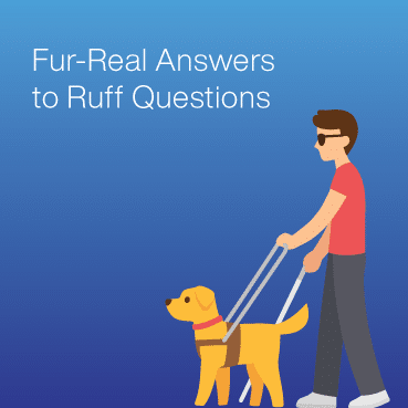 Fair Housing Tool Kit thumbnail