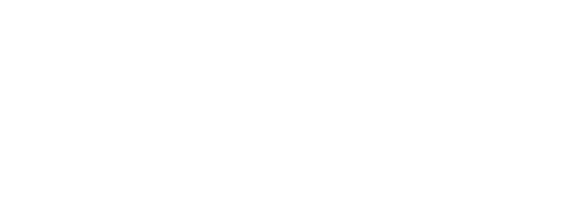 DTN Management Logo all white