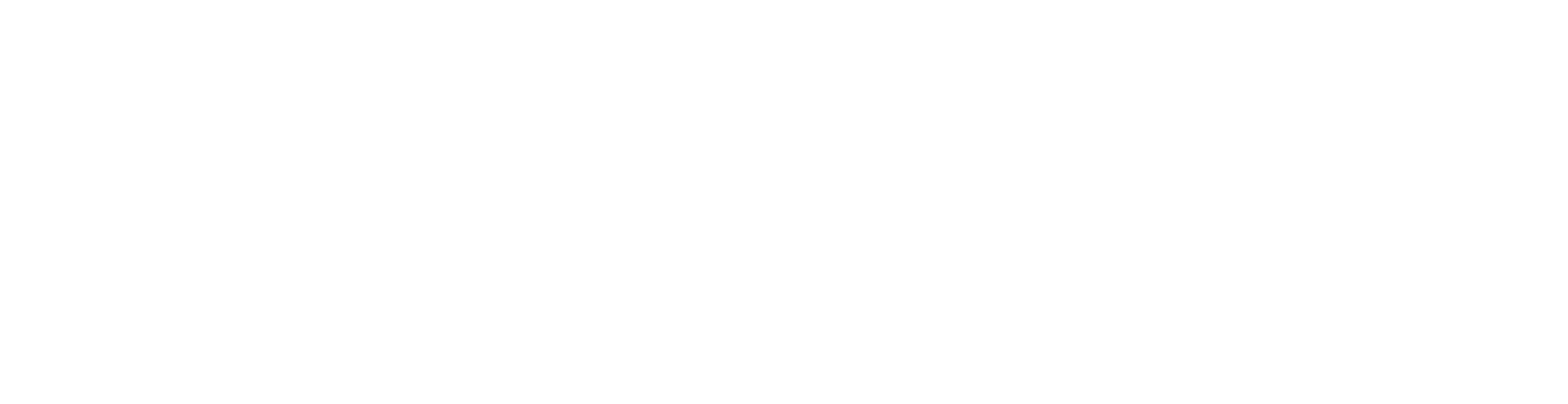White Transparent Fogelman logo