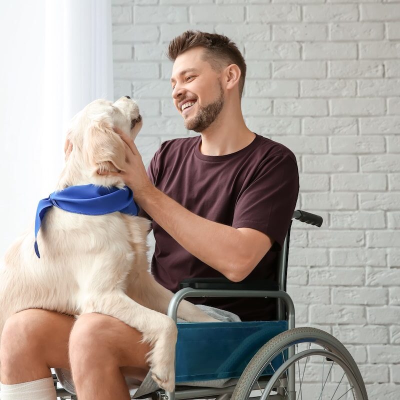 Blog Assistance Animals: What Every Multifamily Operator Should Know Fair Housing Month